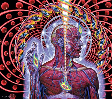 alex grey artwork|alex grey artist tool.